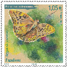 papillon-argynnis-pandora