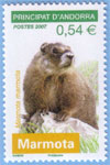 Serie-Nature---Marmotte