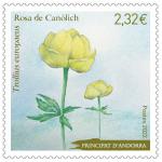 TP Rose de Canolich © Philandorre